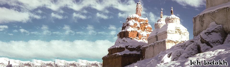 leh ladakh