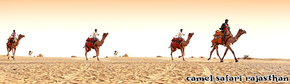 camel safari (rajsthan)